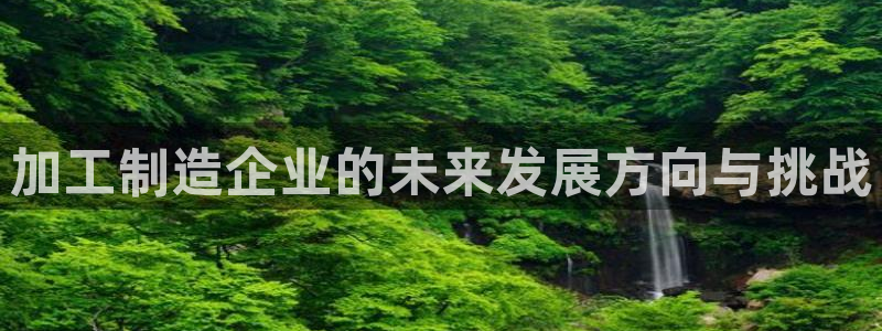 世欧星途娱乐