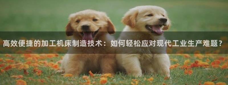 欧乐星城团购娱乐怎么样