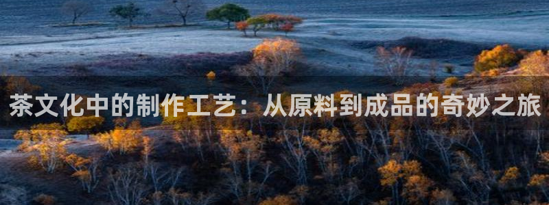 星饭娱乐欧豪是谁