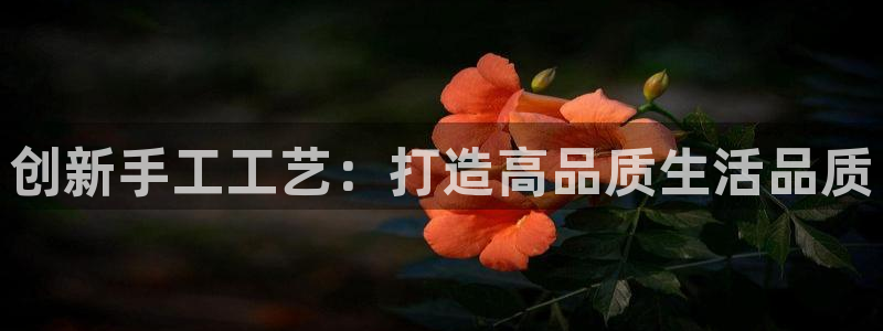 星欧娱乐官网在线登录入口