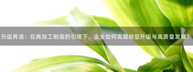星欧娱乐登录后怎么登录