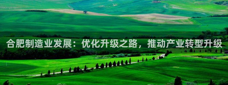 星欧娱乐平台是什么