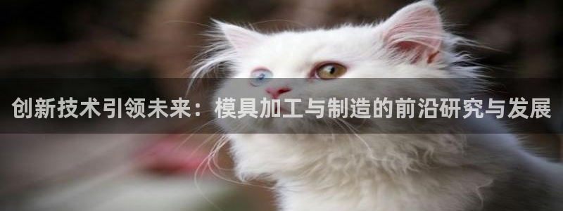 星欧娱乐代理