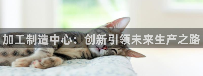 星欧娱乐公司