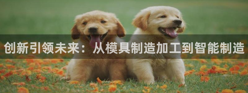 星欧娱乐平台是否靠谱