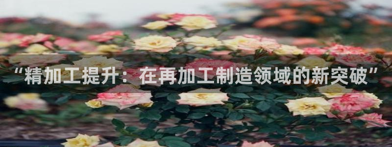 乌鲁木齐欧乐星城娱乐