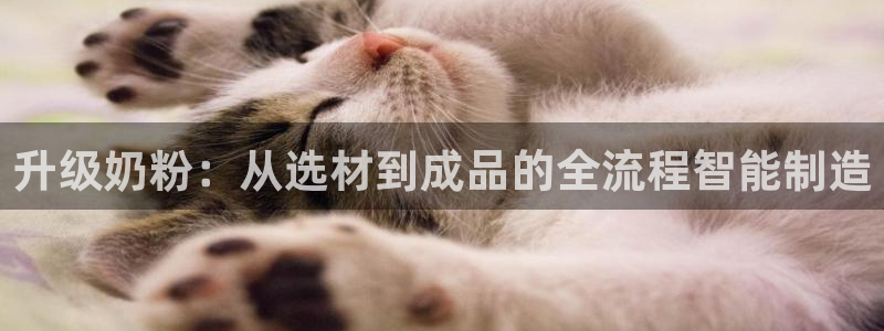 星欧娱乐平台是什么