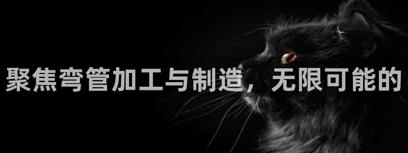 欧星娱乐网站多少