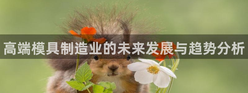 星欧娱乐的官方网站