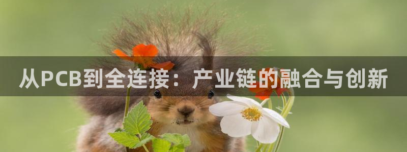 欧星娱乐的盘口