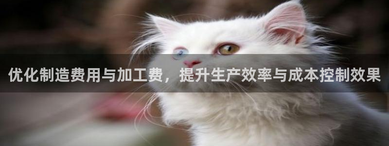 星欧娱乐注册资金多少