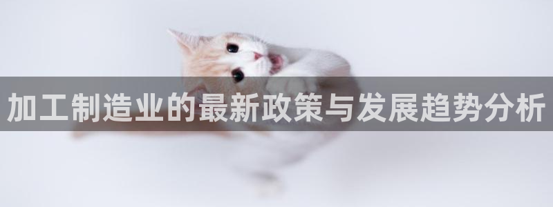 星娱乐online欧弟