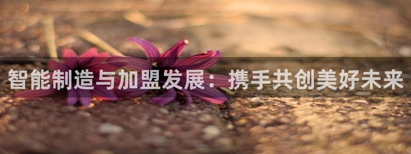 星欧娱乐招商81338