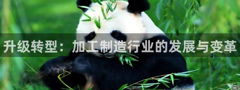 星欧娱乐赞7O777