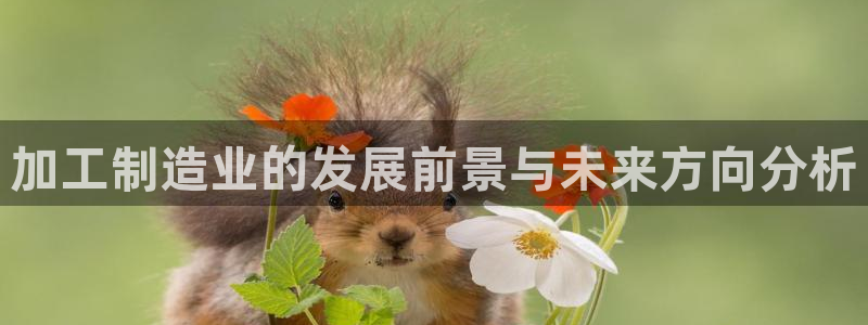 星欧娱乐官方网站