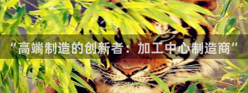 星欧娱乐用户登录中心