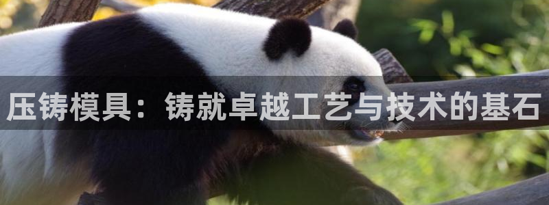 欧星娱乐网址无脑赚