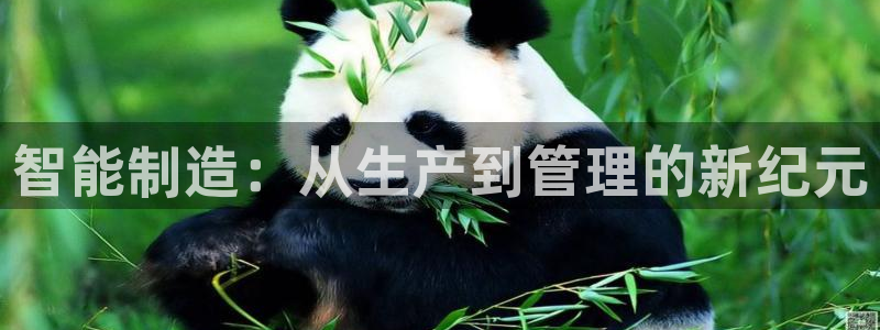 星欧娱乐最新动态消息