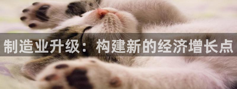 欧乐星城休闲娱乐