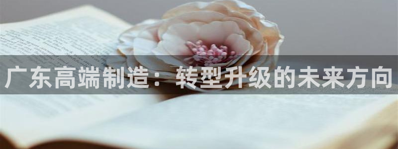 星辉娱乐欧联杯转播