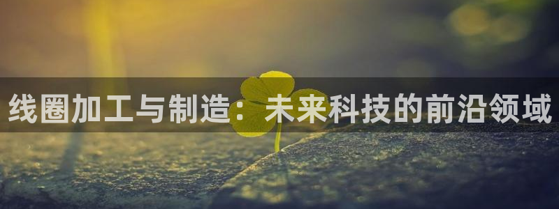 星欧娱乐注册资金多少