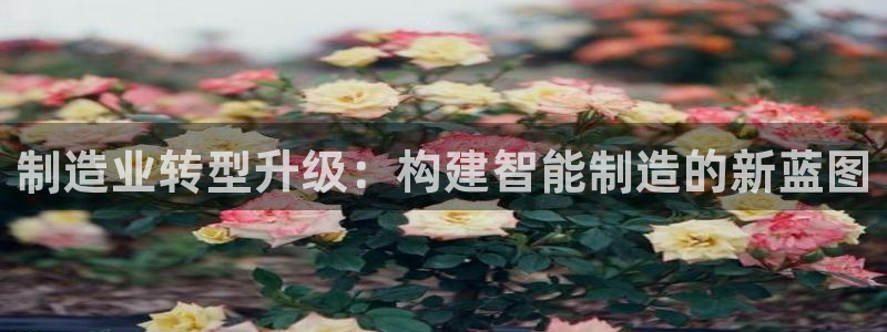 星欧娱乐客服联系方式