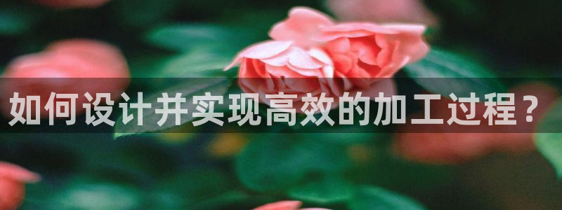 星欧娱乐负责人