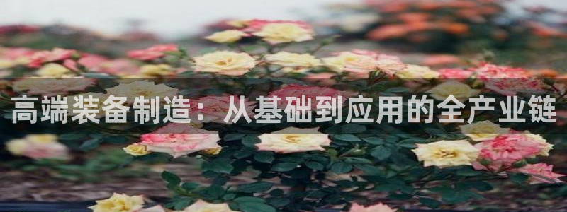 欧乐星城娱乐视频