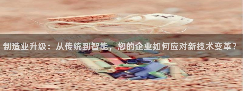 星欧娱乐的官方网站