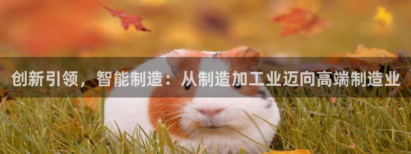 星欧娱乐平台app下载