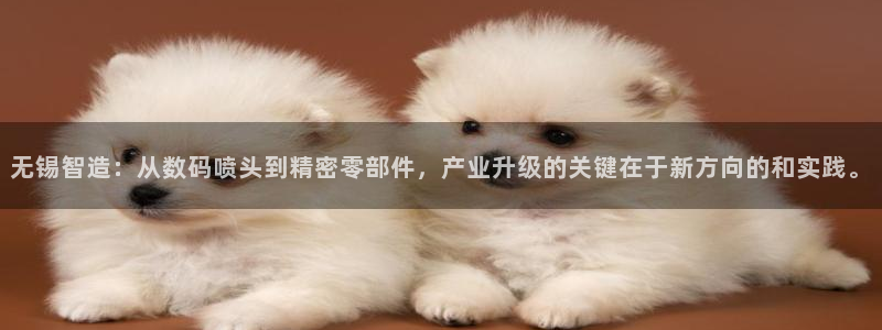 星娱乐online欧豪