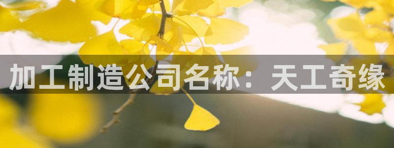 星欧娱乐的创始人背景